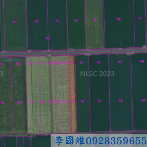 東勢鄉農地法拍-2