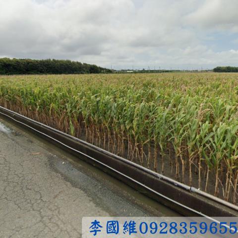 東勢鄉農地拍賣-1