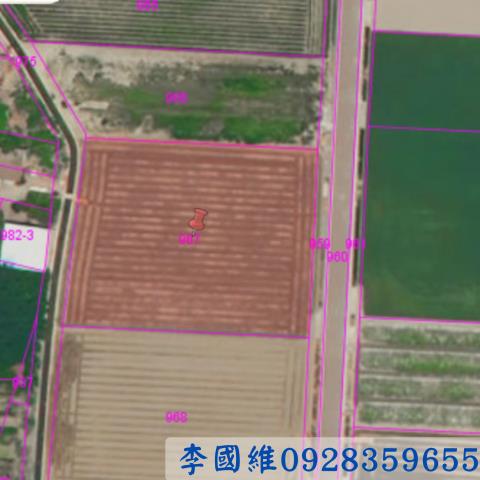 雲林農地法拍-2