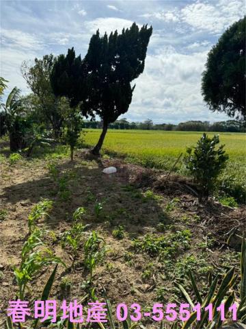 新竹竹北農地-2