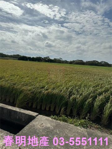 新竹竹北農地-0
