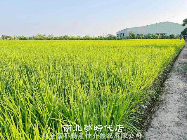 台南柳營農地-3