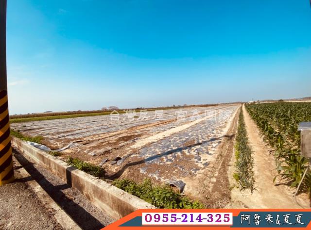 嘉義六腳農地-2