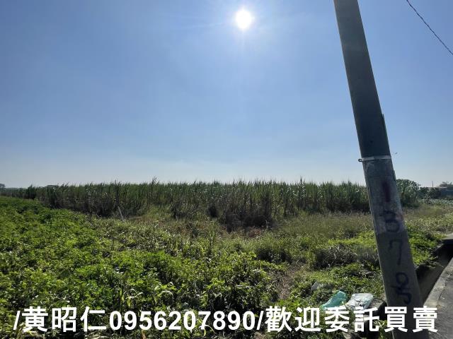 台南西港農地-2