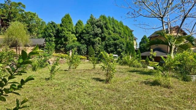 新竹橫山農地-1