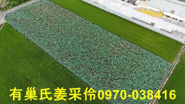 民雄農地-4