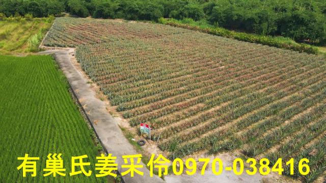 民雄農地-0