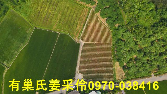 民雄農地-4