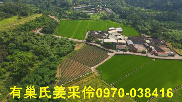 民雄農地-8