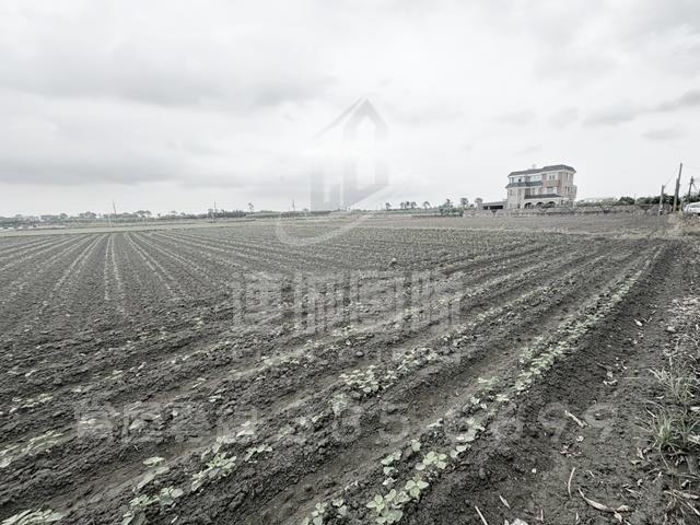 台南善化農地-0