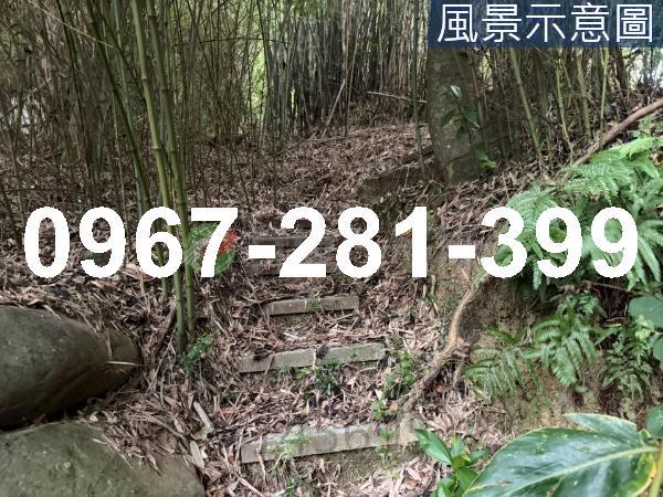 苗栗造橋農地-4