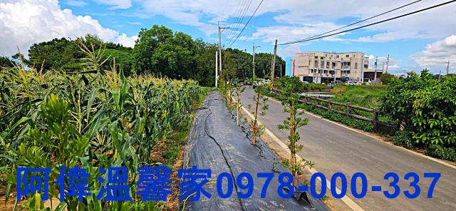 新竹新豐農地-2