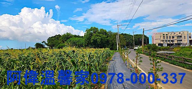 新竹新豐農地-6