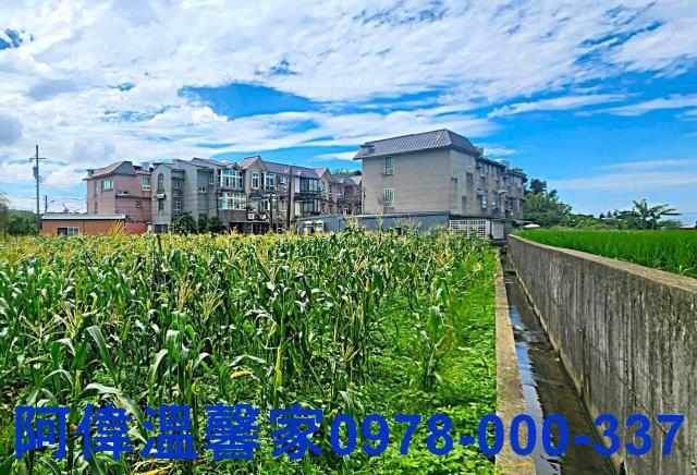 新竹新豐農地-7