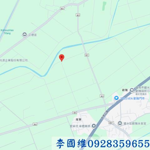 台南鹽水農地法拍-3