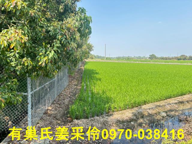 台南白河農地-8