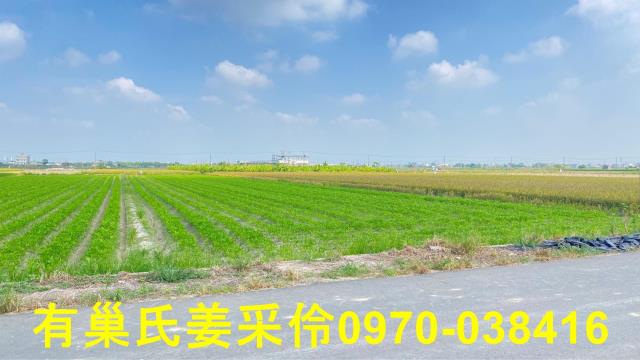 嘉義鹿草農地-11