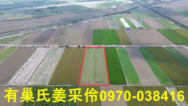 嘉義鹿草農地-5