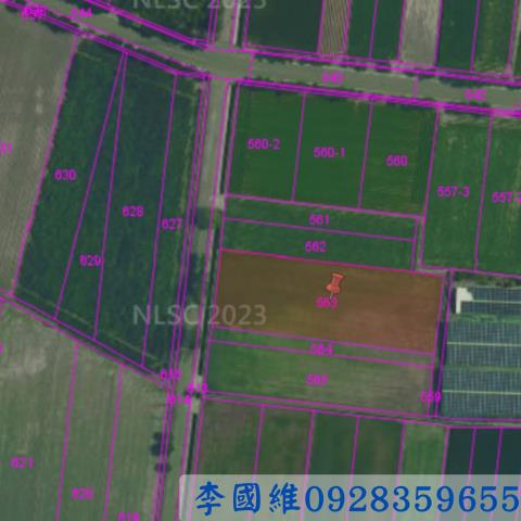 雲林東勢鄉農地法拍-2