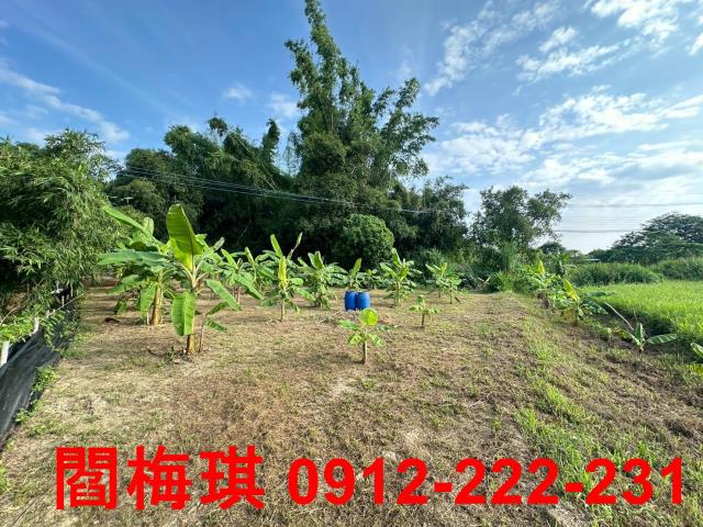 關廟11分平坦農地