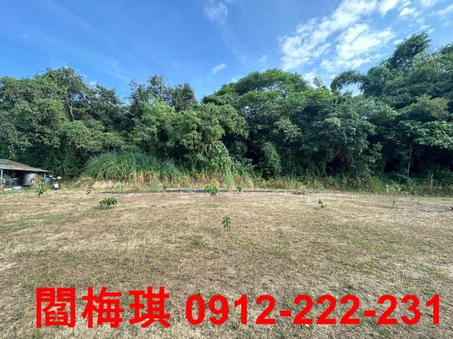 台南關廟農地-1