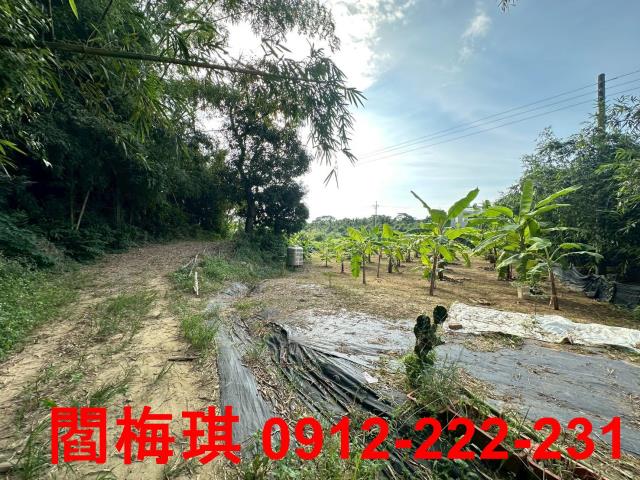 台南關廟農地-6