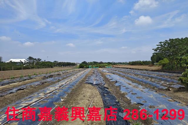嘉義農地-2