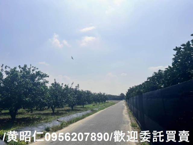 台南麻豆農地-3