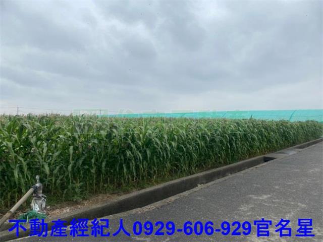 嘉義太保建地-7