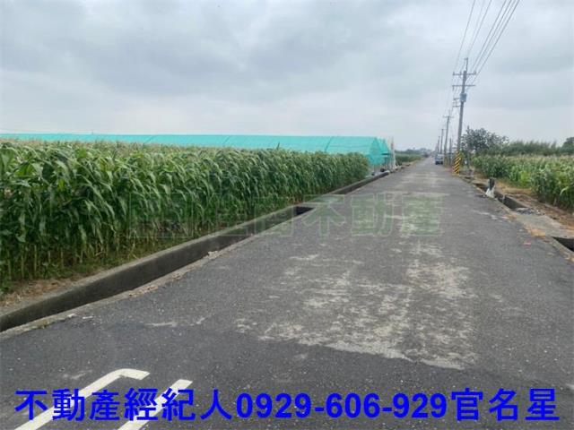 嘉義太保建地-8