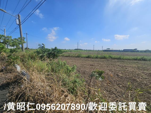 台南七股農地-3