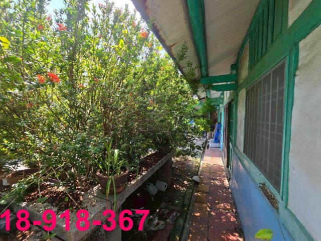 嘉義溪口建地-9