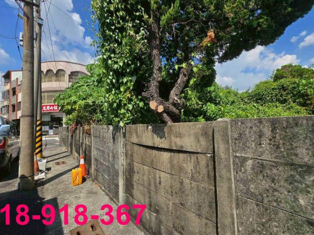 嘉義溪口建地-10