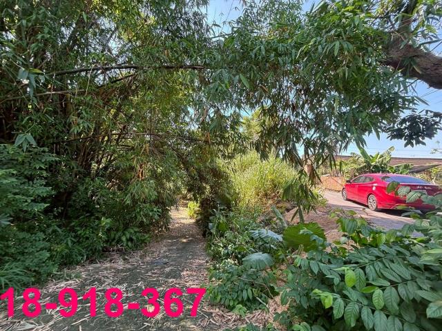 嘉義大林建地-0