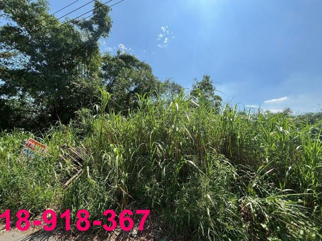 嘉義大林建地-2