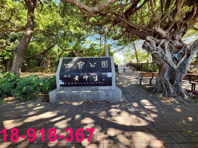 台中大雅建地-10