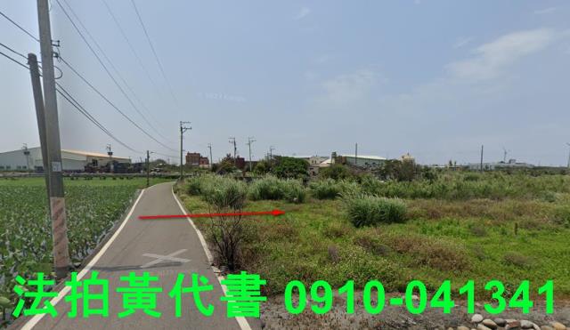 大安區法拍農地-1