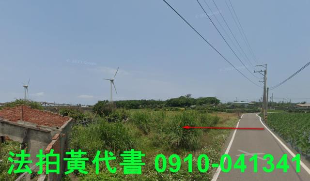 大安區法拍農地-2