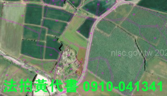 大安區法拍農地-5