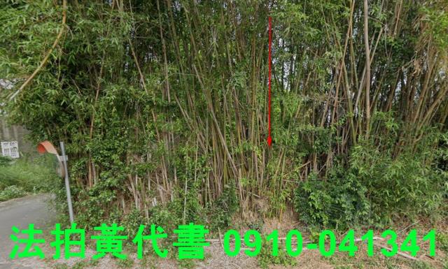 新竹新豐建地法拍-0