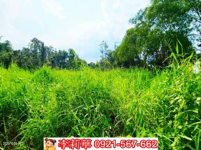 台南白河農地-9