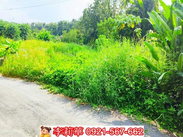 台南白河農地-6