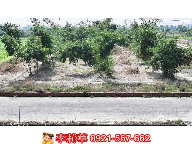 嘉義建地農地台灣阿魯米台灣房屋湖子內富鑫店呂昆佩台灣阿魯米