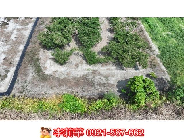 台南西港農地-2