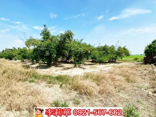 台南西港農地-5