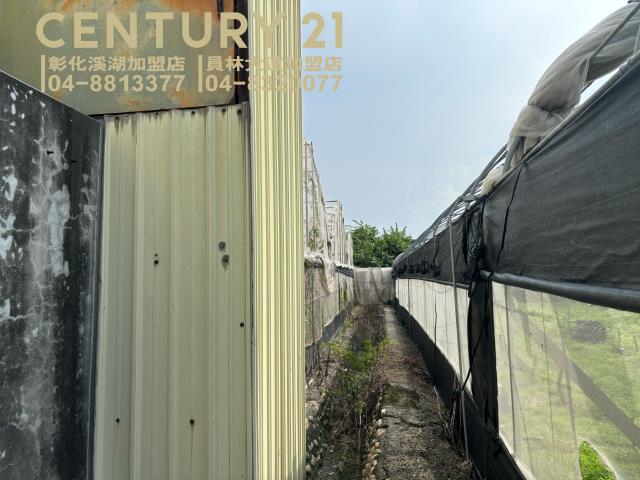 彰化溪湖農地-3