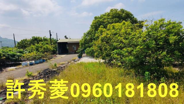 高雄阿蓮農地-3