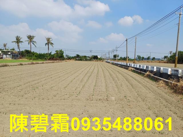 西港農地-2