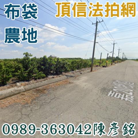 嘉義法拍農地-1