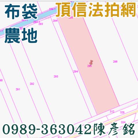 嘉義法拍農地-3